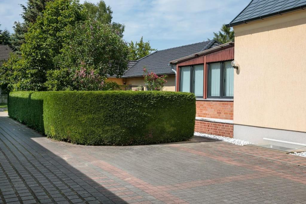Charmantes Townhaus Mit Garten, W-Lan & Netflix Potsdam Extérieur photo
